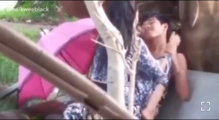 ပန်းခြံထဲ တက်ခွ
